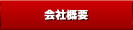 �A���Ԕ�����X�E�P�P����h�b�g�R��/�A���ԁE���Y�Ԕ̔��A����Ɣ���̊�����Ѓ��[���s�A���o�[�W������ЊT�v